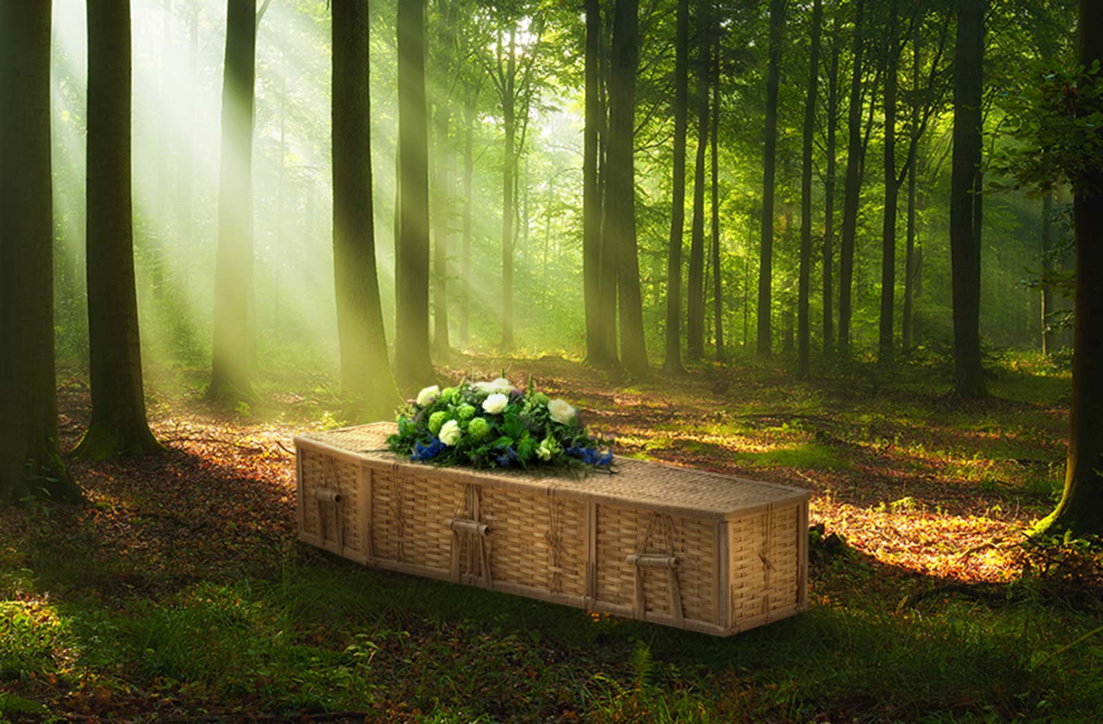 bamboo coffin